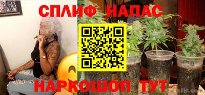 ГАЛЛЮЦИНОГЕННЫЕ ГРИБЫ Гусев