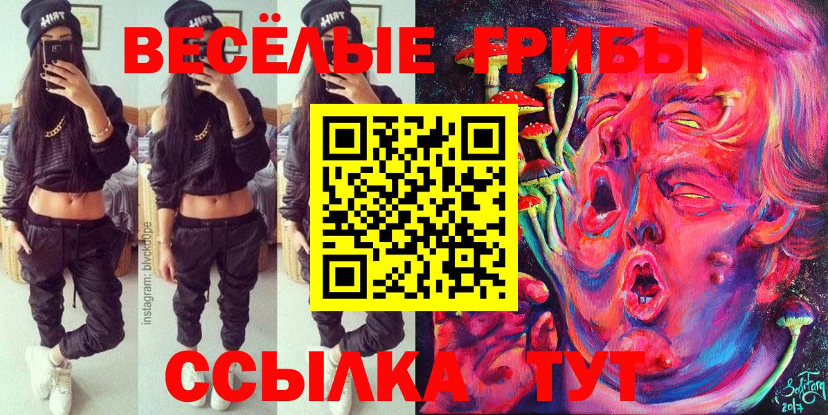 Галлюциногенные грибы MAGIC MUSHROOMS  купить закладку  Отрадный  Вход с VPN  Галлюциногенные грибы GOLDEN TEACHER 