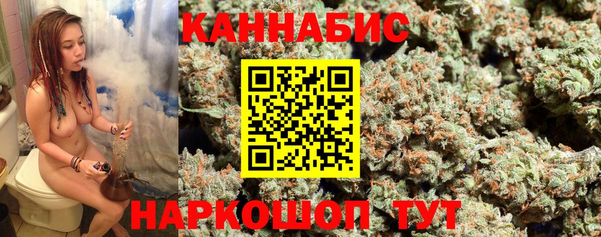 Канабис планчик  Вход с VPN  Марихуана ГИДРОПОН  Конопля White Widow  Отрадный 